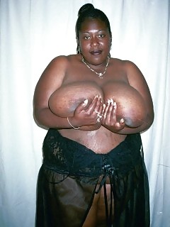 Bbbw Big Black Asses