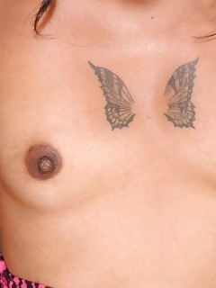 Lebrooks - Ebony Maid - Atk Exotic