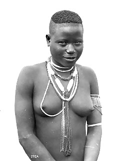 Wild Africa Riding Ebony